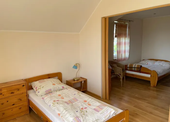 Alga * Władysławowo